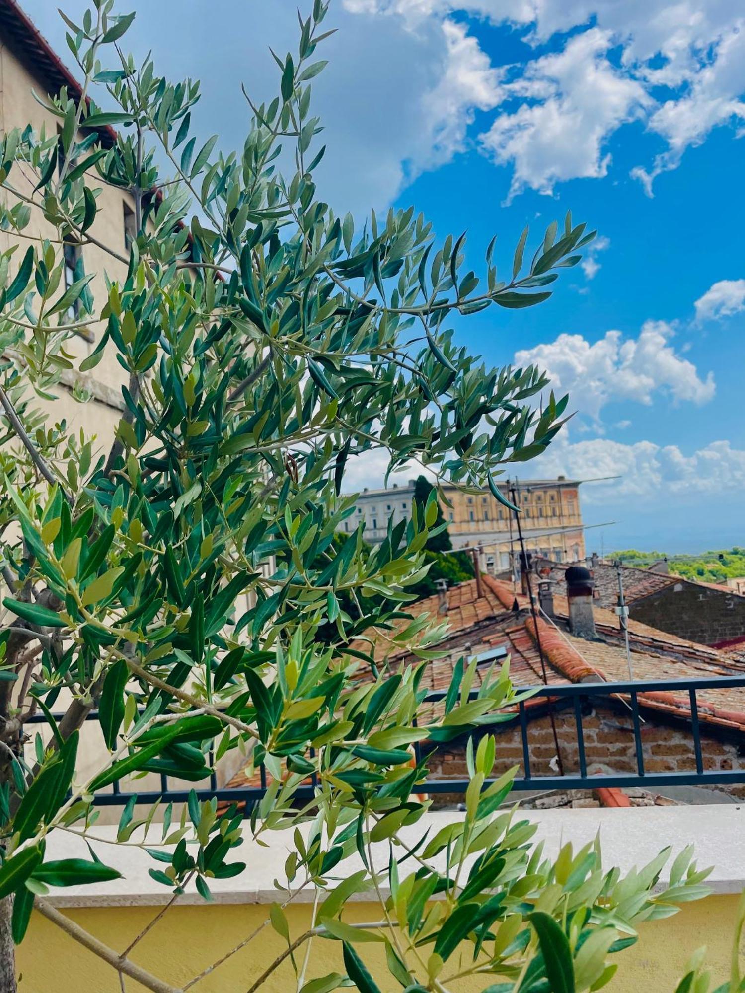 Casa Checca Appartamenti Per Vacanze Caprarola Dış mekan fotoğraf